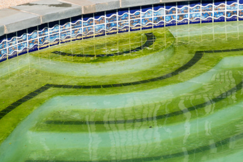 5 Simple Steps to Fix a Green Pool