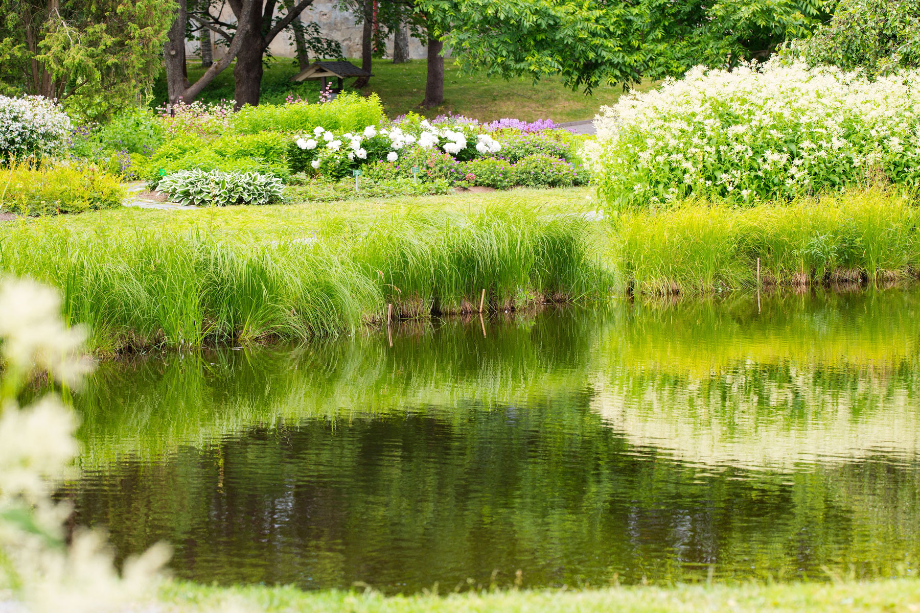 Fosfaatverwijderaars, Effectieve oplossing tegen (draad)algen
