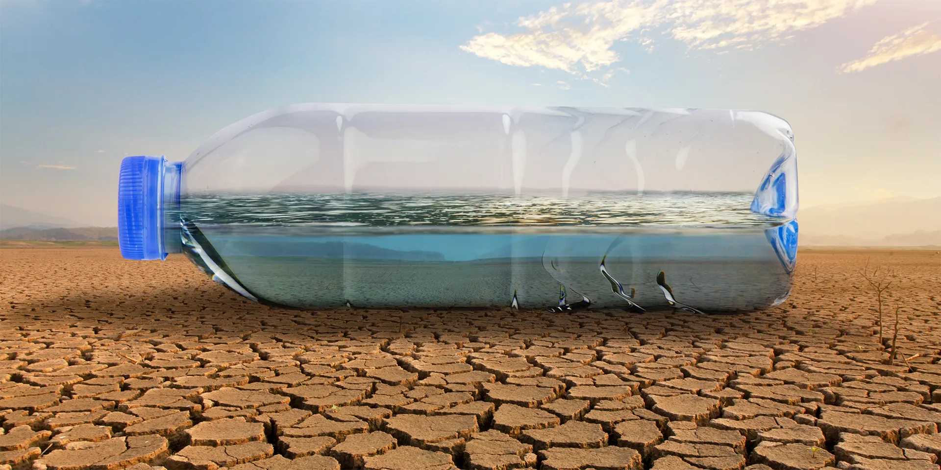 Quick Tips In Making Your Pool More Environmentally Friendly