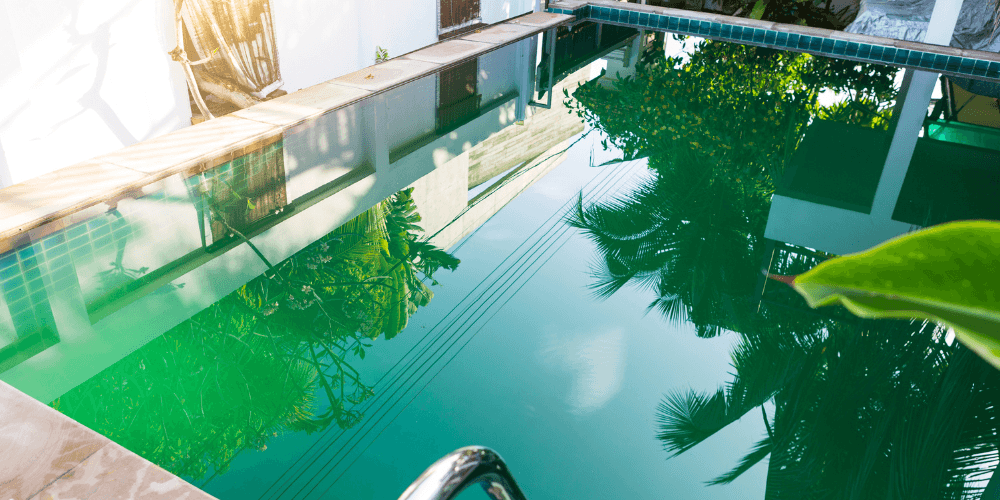 Why Is My Pool Green?