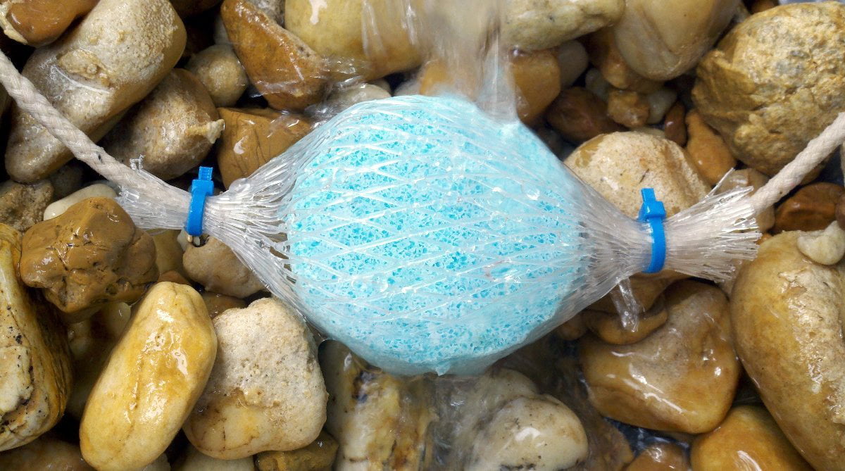 AquaForte Pond Zinger