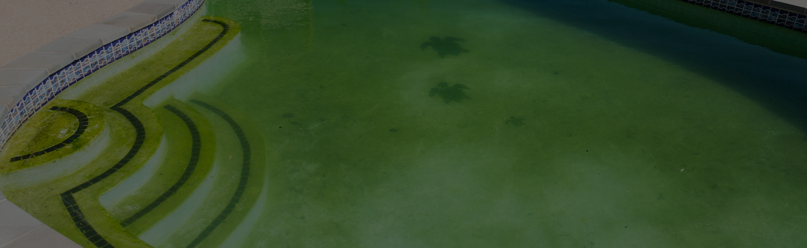 How To Test and Fix A Green Pool