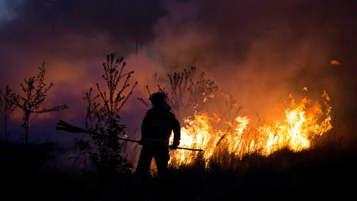Restoring Pool Health After Intense Bushfires