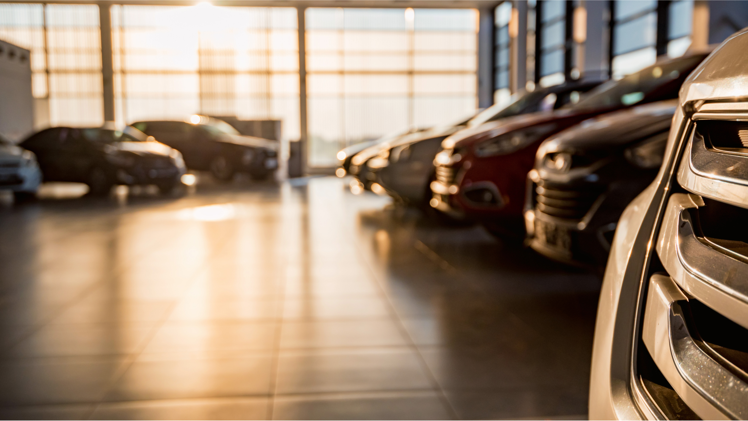 Autos im warmen Sonnenlicht in einem Autohaus