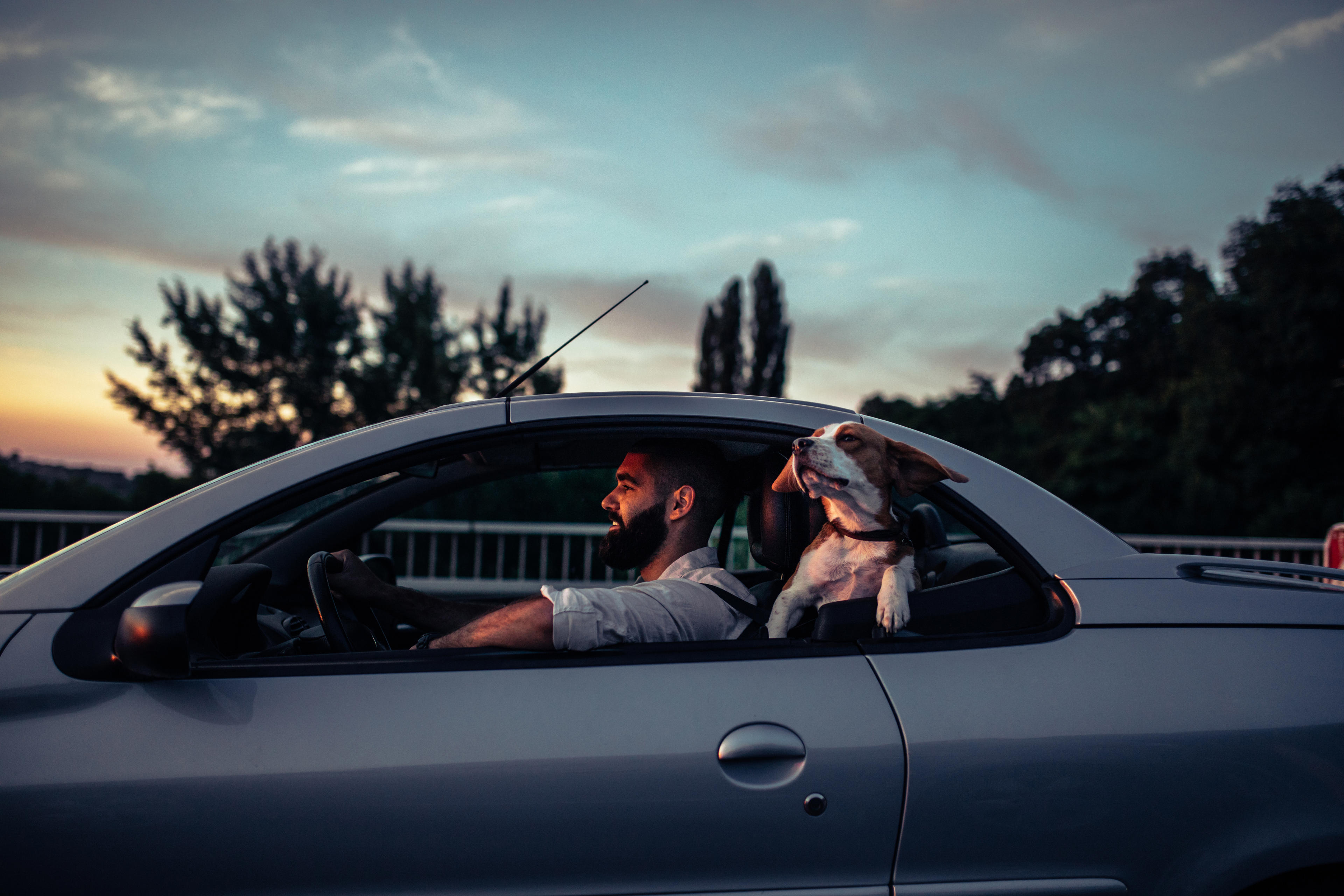 Mann fährt mit seinem Hund im Auto