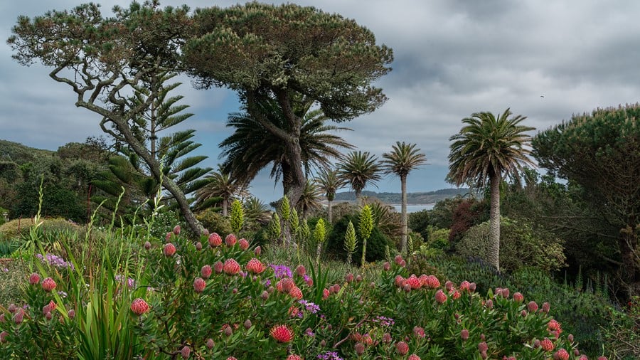 The Isles of Scilly