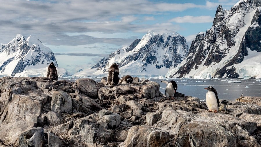 Antarctica: another world