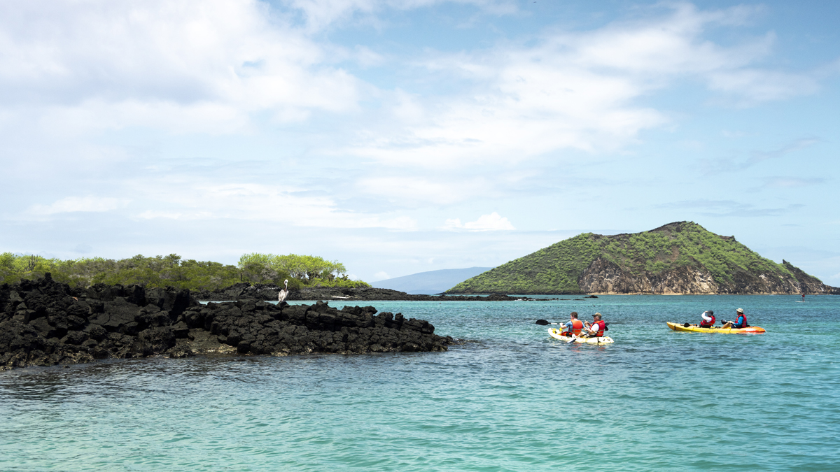 Reef life on Eden Islet