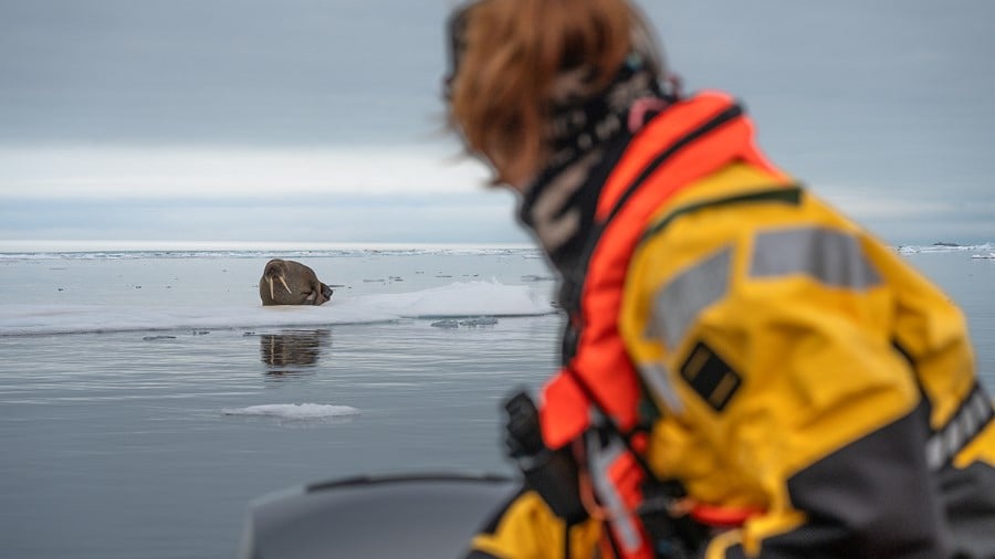 Northwest Spitsbergen National Park