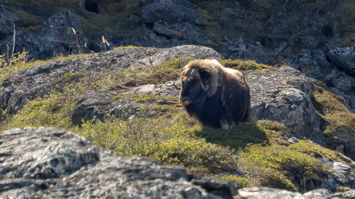 Southwest Greenland