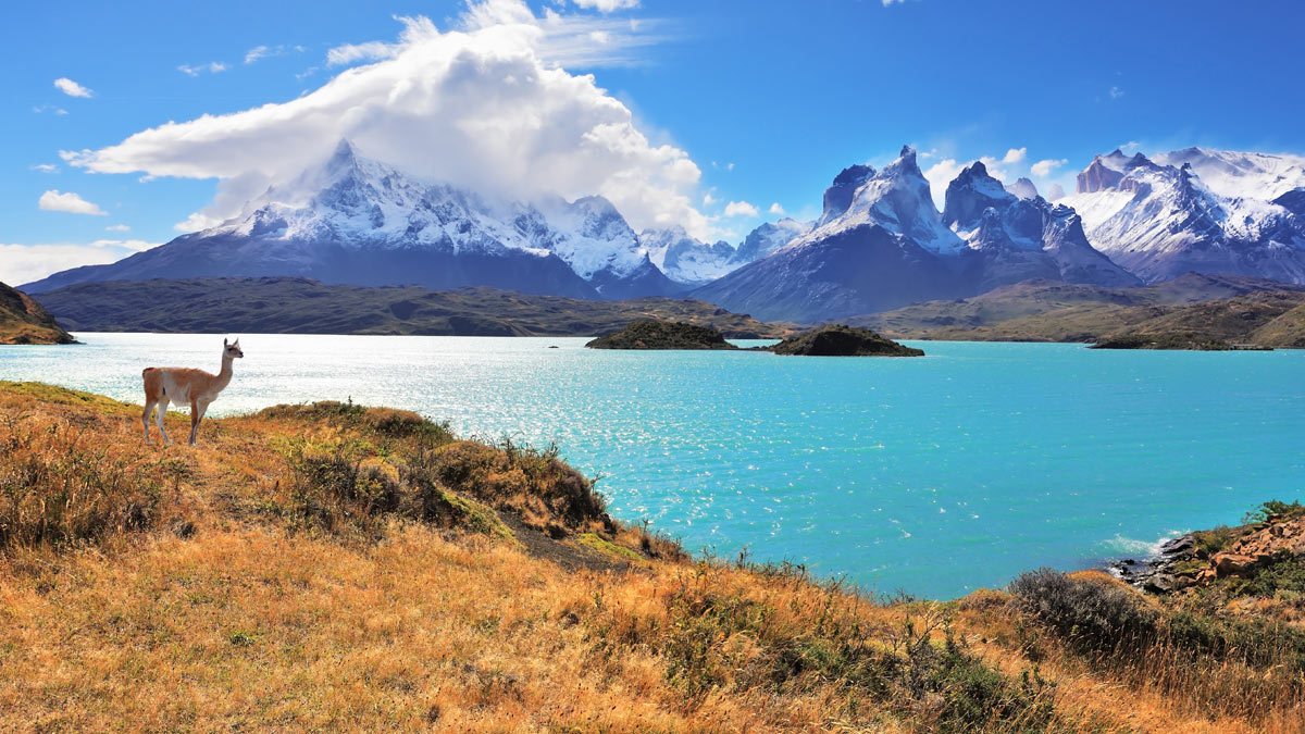 Bohemian Puerto Natales
