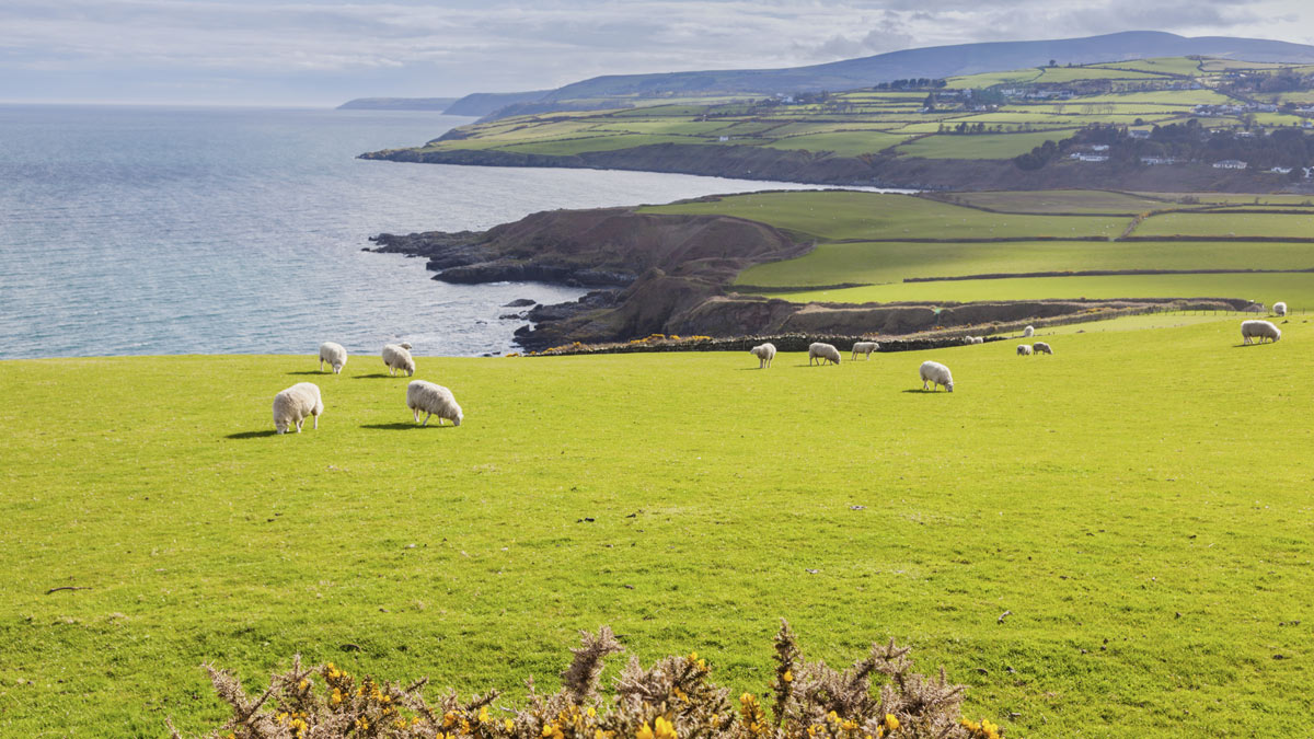 The scenic coastline of the Isle of Man