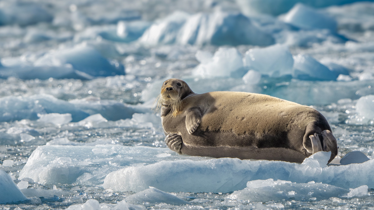 Into the remote Arctic Interior