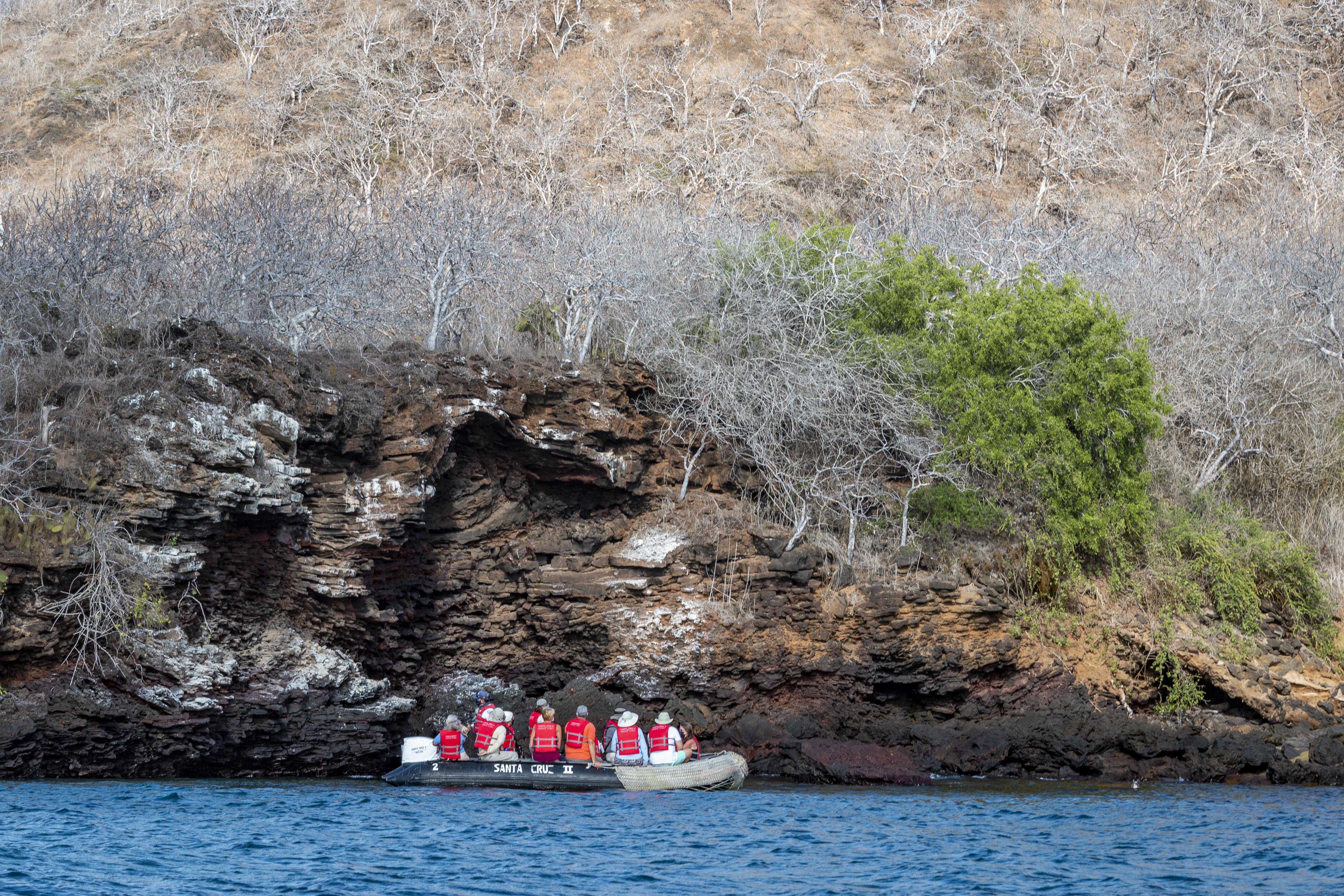 Reef life on Eden Islet