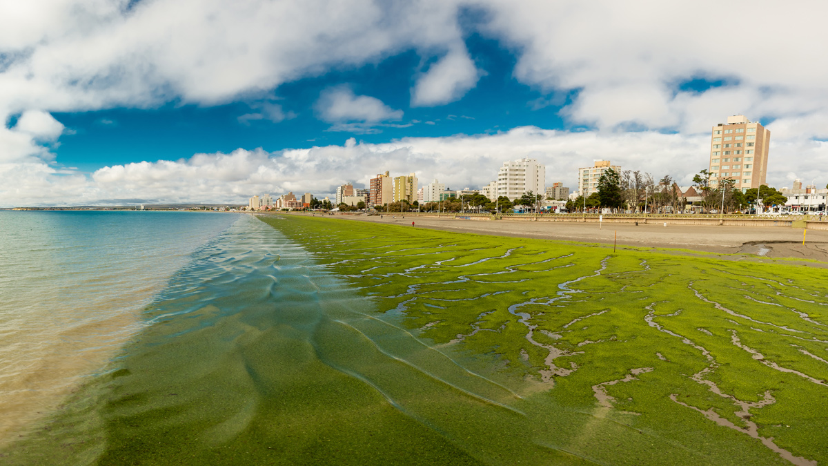 Explore Puerto Madryn