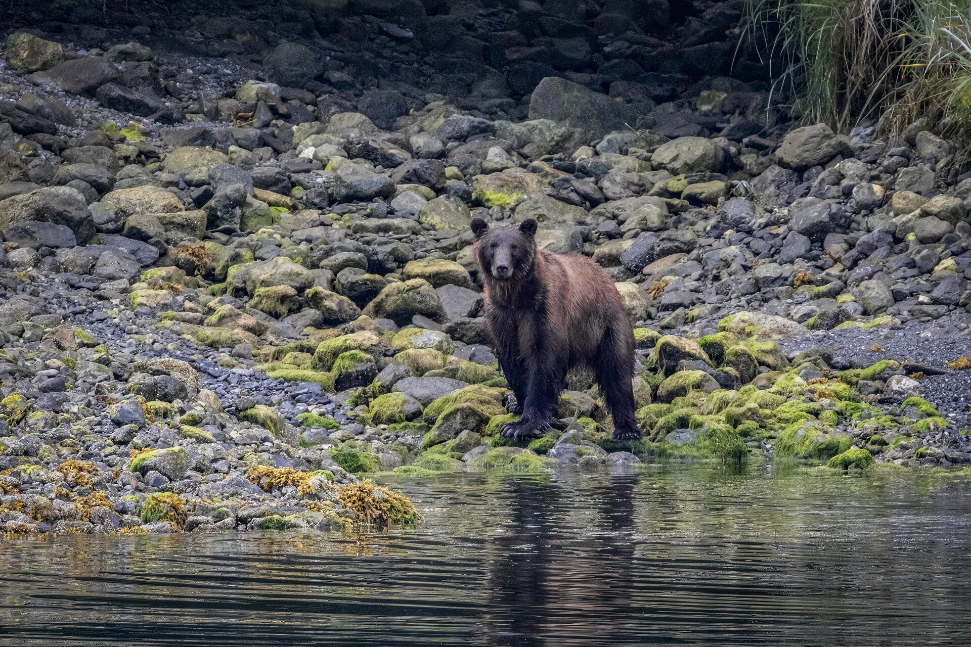 Chatham Strait Expedition Day