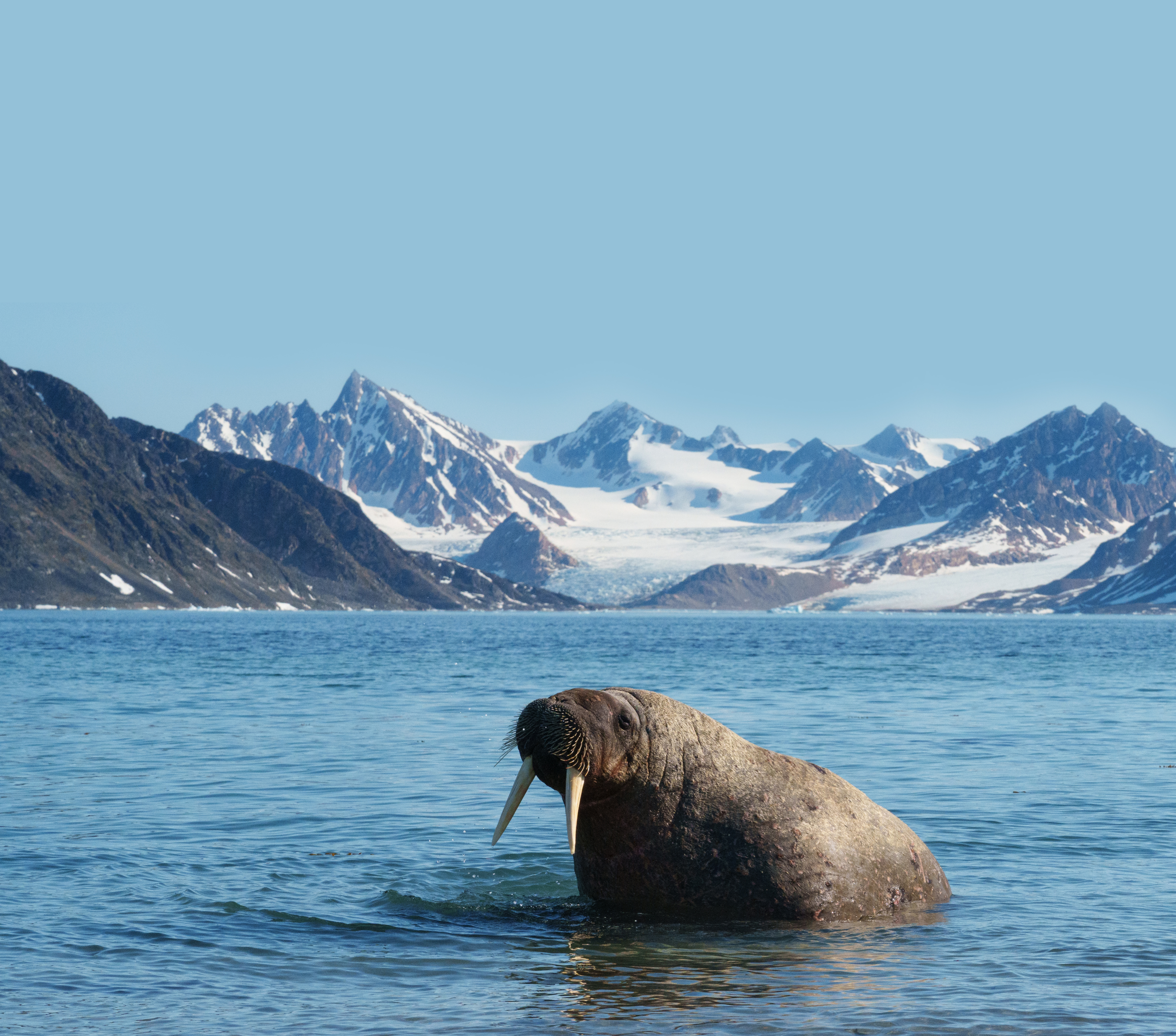 Scenic Spitsbergen