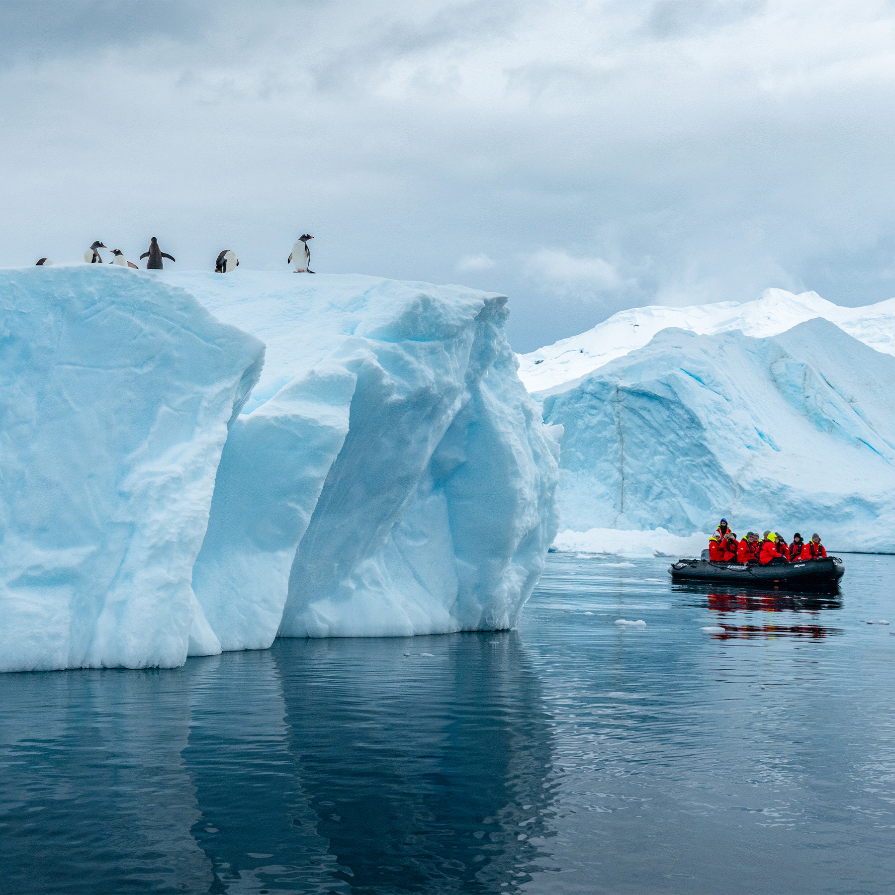 Antarctica: another world