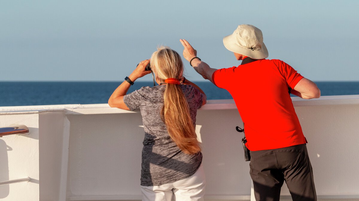 Cruising the Channel