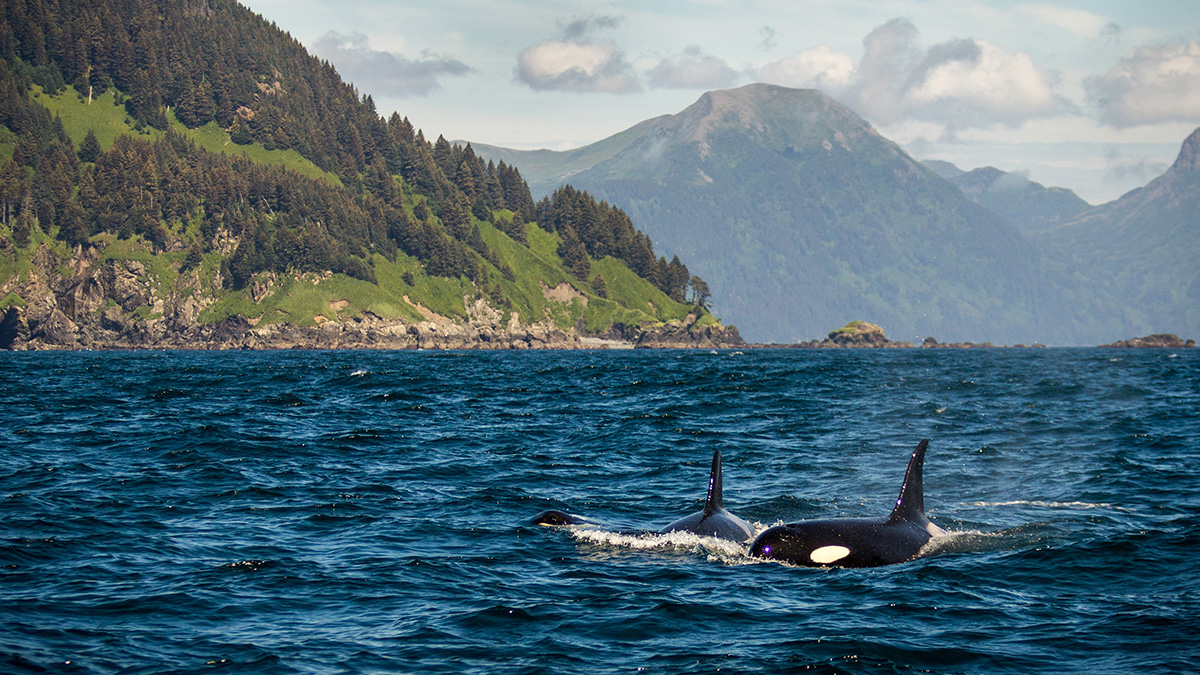 Canada's Inside Passage