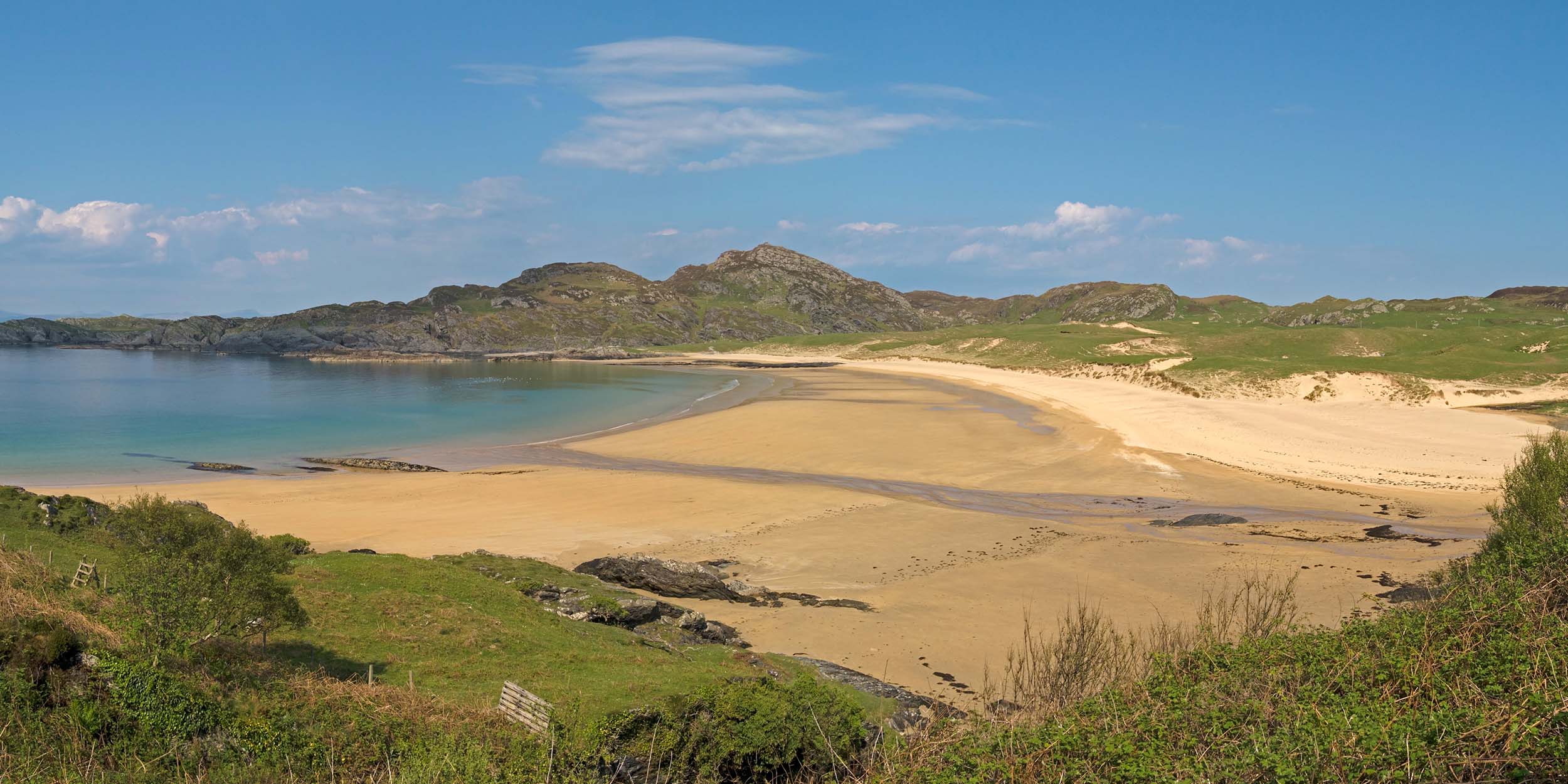 Colonsay birds and blooms