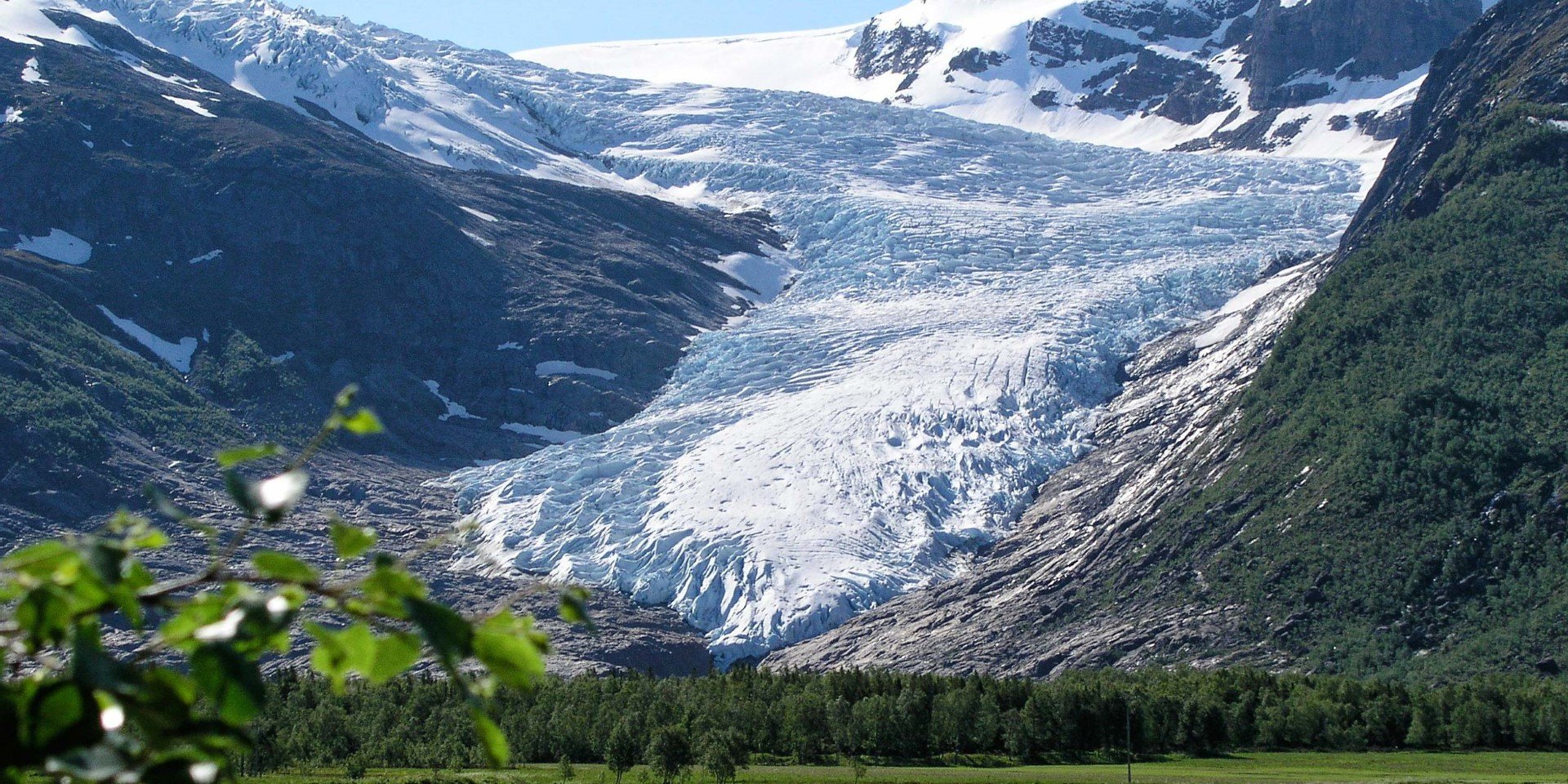 Svartisen