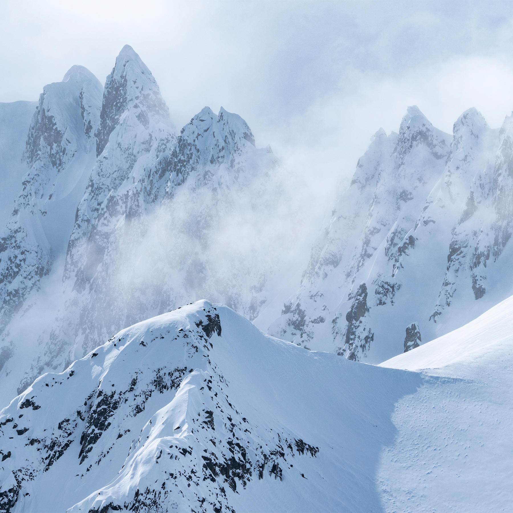 Antarctica: another world