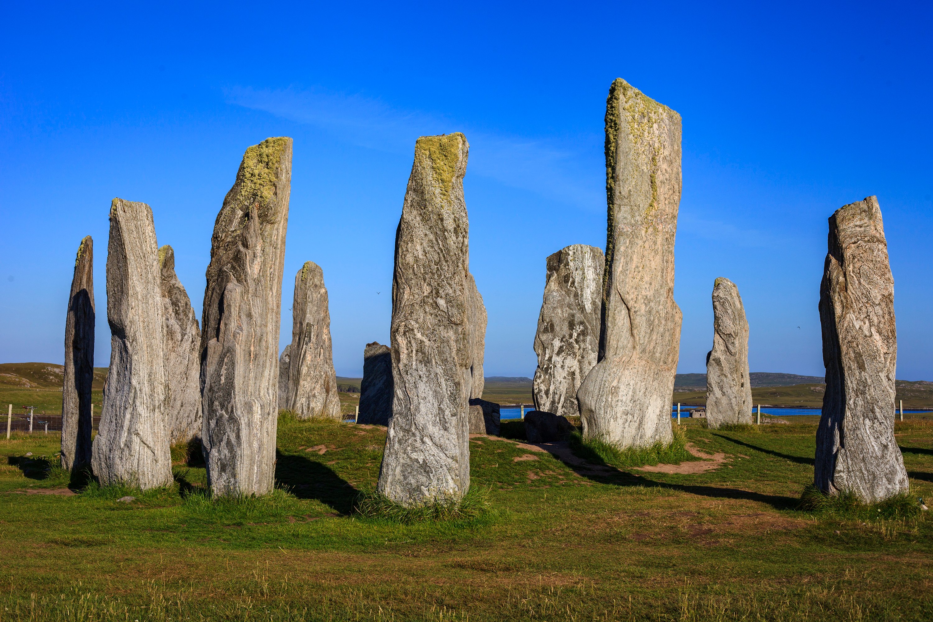 Stalwart Stornoway