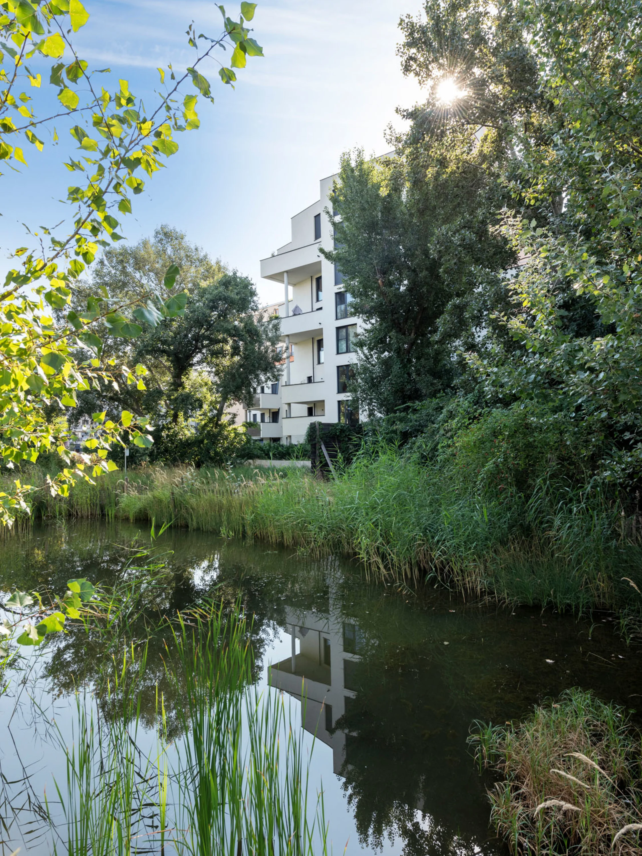 Image: The "Freie Mitte" as a place of relaxation next to The Wild project.