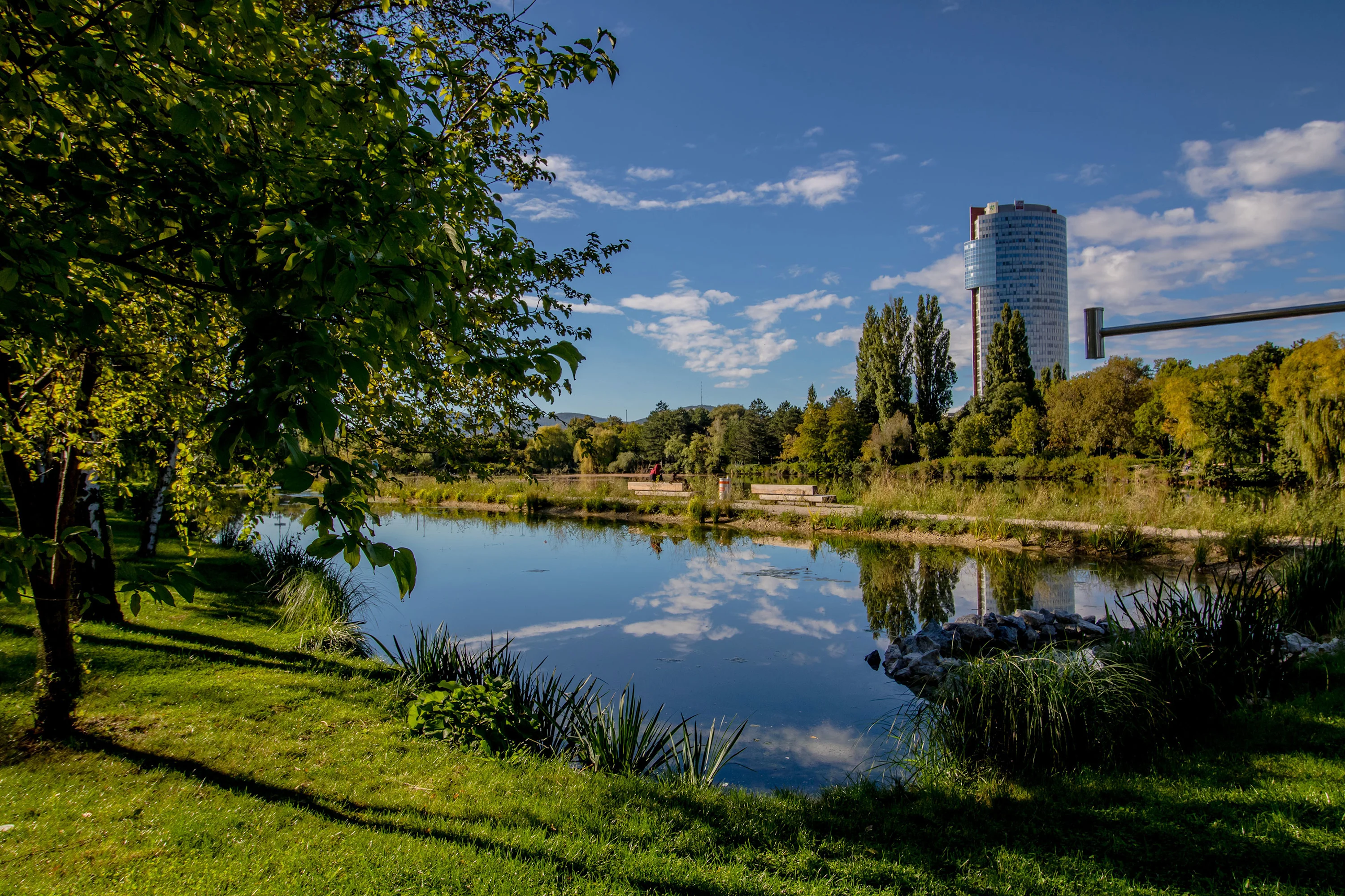 Fotografia: Dunajský ostrov v lete