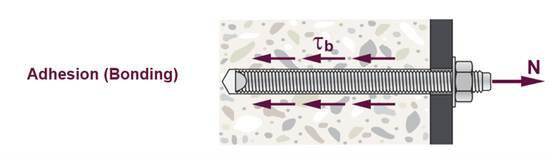 Adhesion (Bonding)