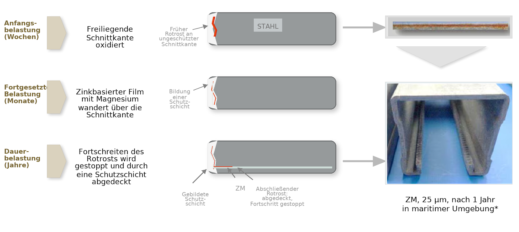 Diagramm zum Selbstheilungseffekt einer Zink-Magnesium-Beschichtung an einer Schnittkante. Dargestellt werden anfängliche Rotrostbildung, die Ausbildung einer Schutzschicht sowie das langfristige Stoppen des Korrosionsfortschritts.