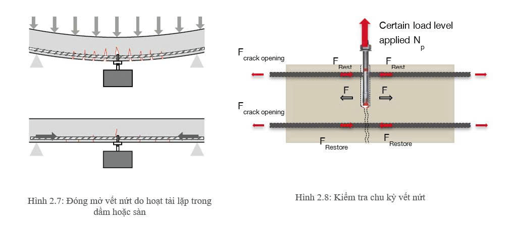 Các hình minh họa quá trình vết nứt mở rộng và khép lại dưới tải trọng lặp, cùng với thiết lập thí nghiệm chu kỳ vết nứt, thể hiện cách lực kéo gây ra sự mở rộng của vết nứt trong khi các lực phục hồi giúp kéo các mép vết nứt khép lại.