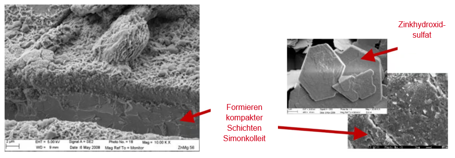 Rasterelektronenmikroskopische Aufnahmen zeigen Korrosionsprodukte auf einer Zink-Magnesium-Beschichtung. Hervorgehoben werden kompakte Schutzschichten sowie die Korrosionsprodukte Simonkolleit und Zinkhydroxidsulfat.