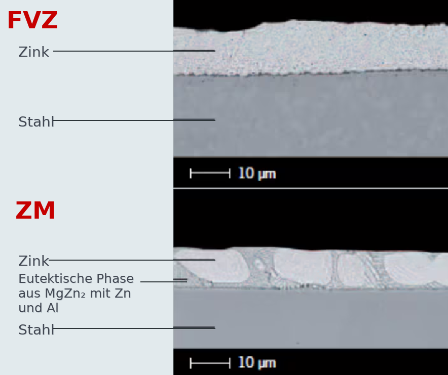 Mikroskopischer Querschnittsvergleich zwischen feuerverzinkter (FVZ) und Zink-Magnesium-Beschichtung (ZM) auf Stahl. Beschriftungen kennzeichnen Zink, Stahl und eutektische Phasen; Maßstäbe von 10 µm zeigen die Schichtstrukturen.