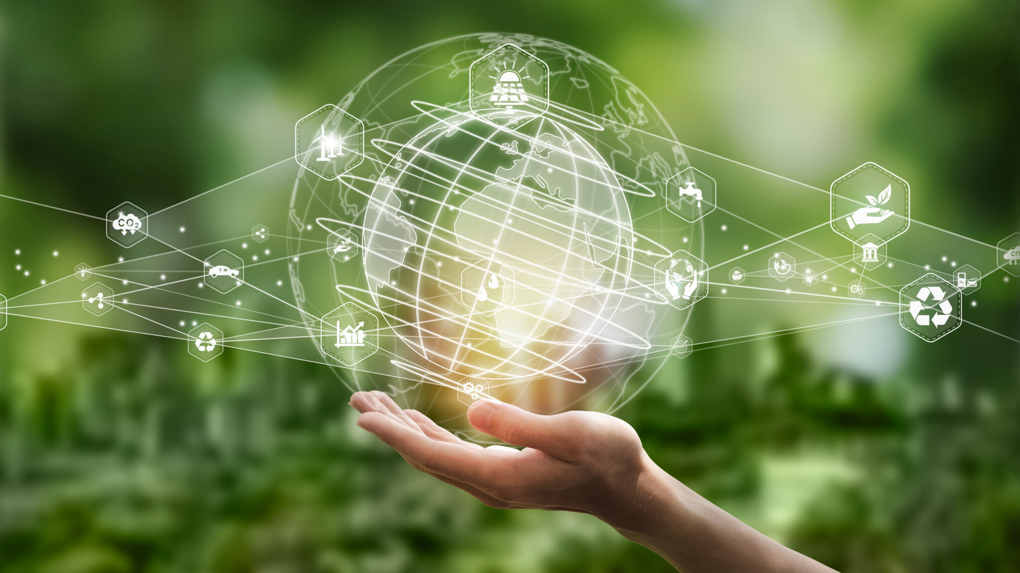Sustainability efforts and eco-friendly actions in a picture.
