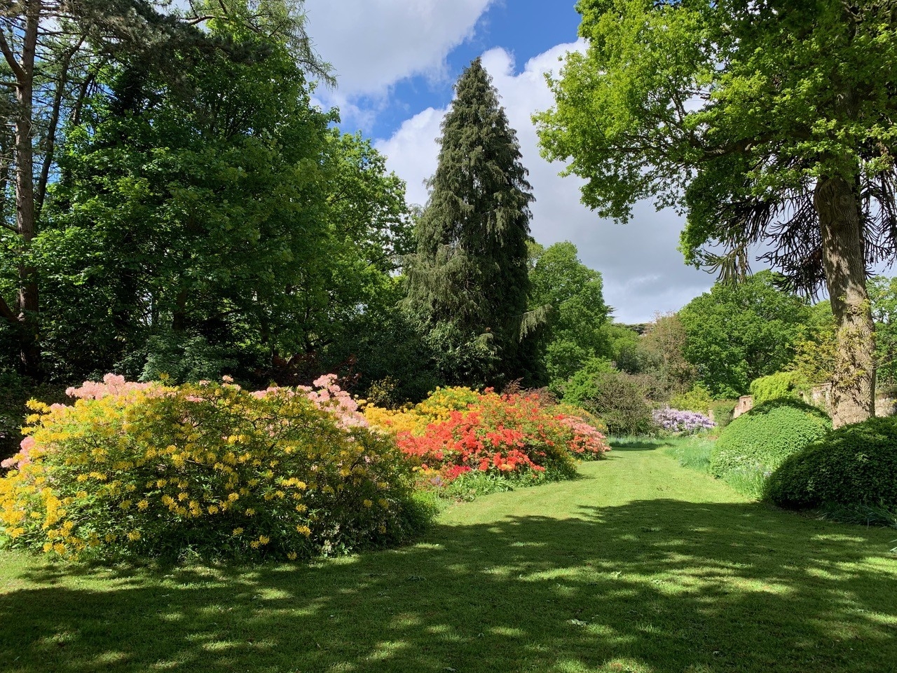 The stunning trees and flowers of Elmham House.