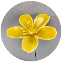 An illustration of a ceramic St John’s Wort flower.