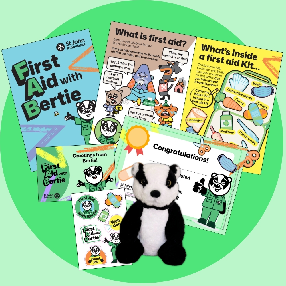 First Aid with Bertie pack and badger cuddly toy.