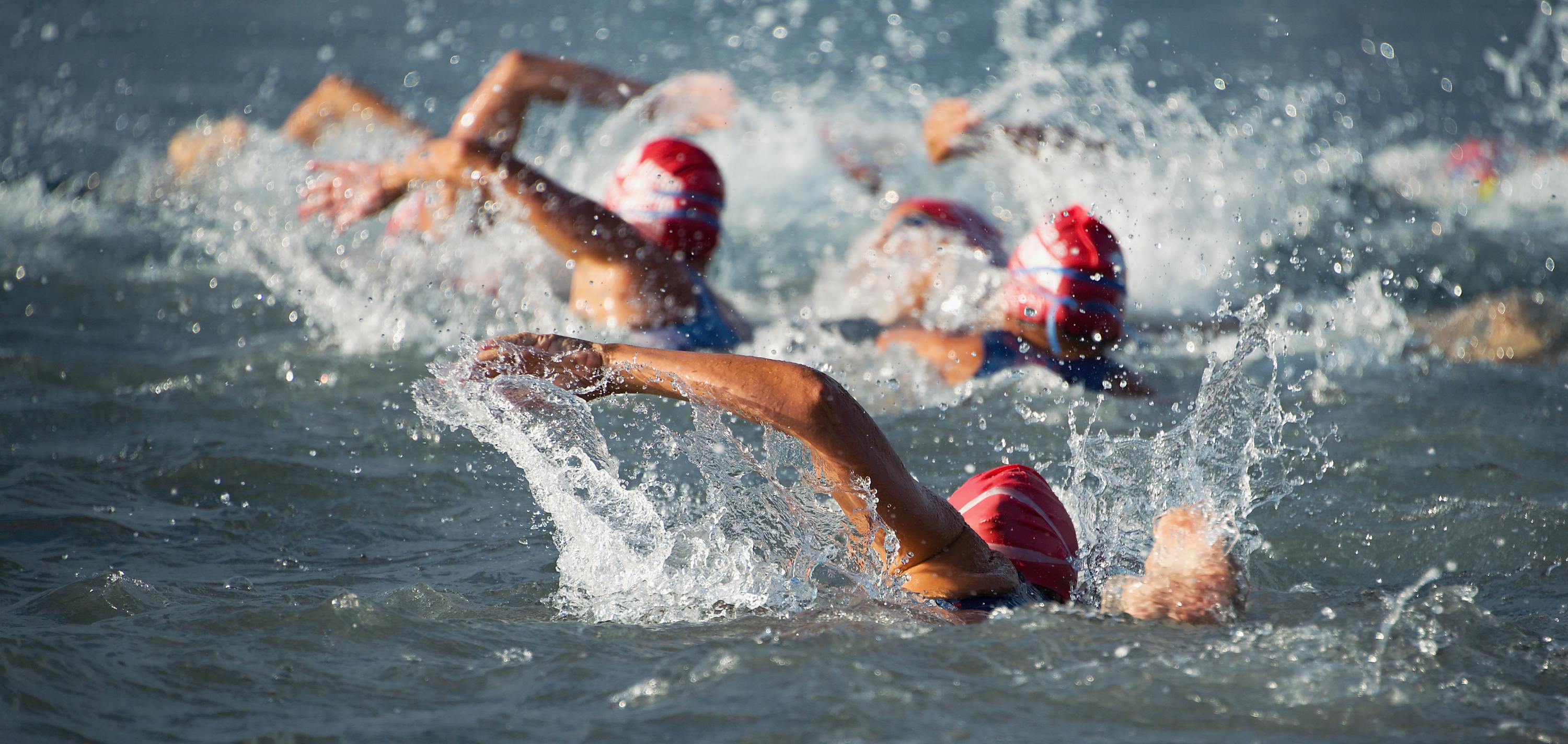 Open water swimmers racing away from the camera.