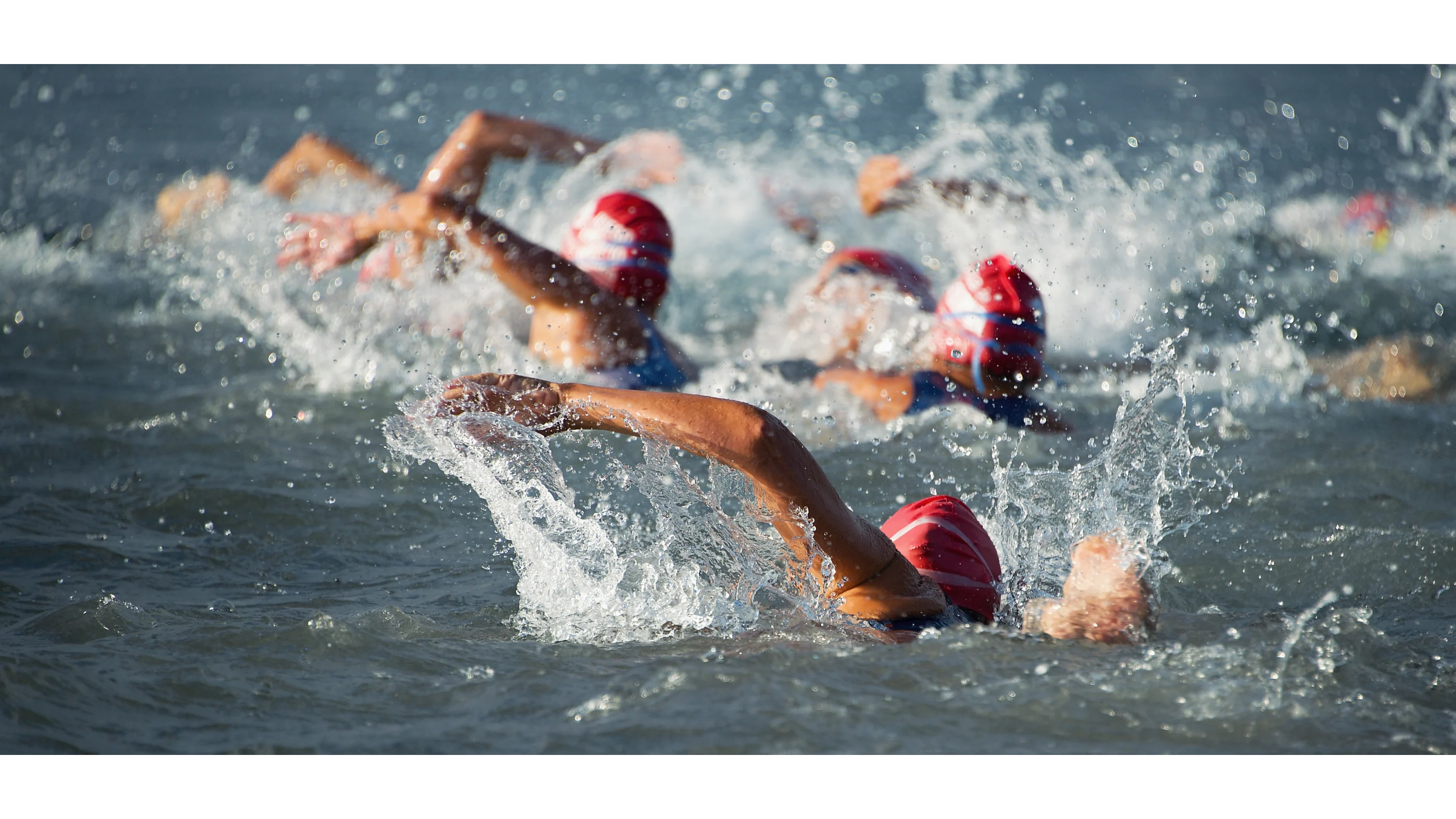Open water swimmers racing away from the camera.