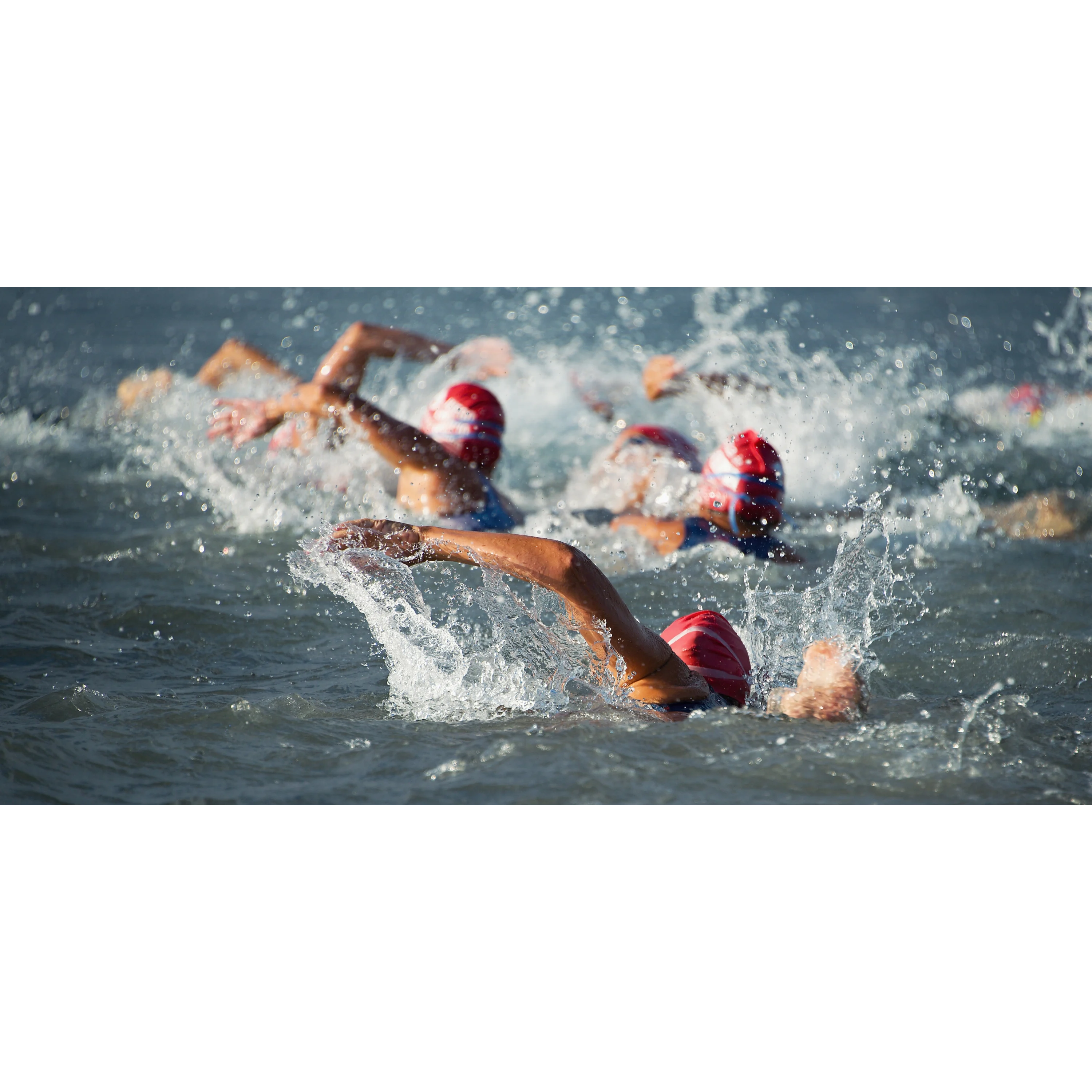 Open water swimmers racing away from the camera.