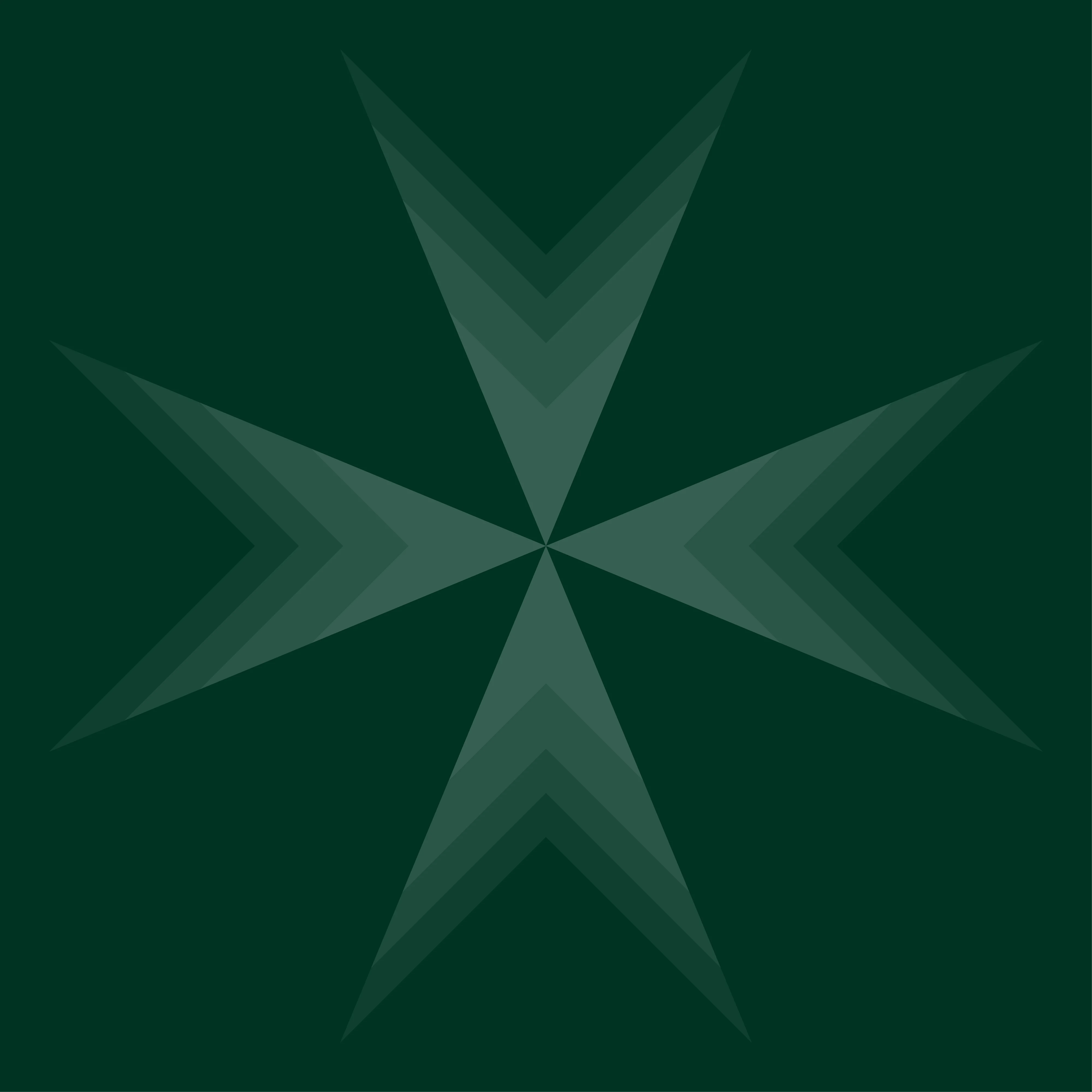 The SJA Burst dark green RGB design asset