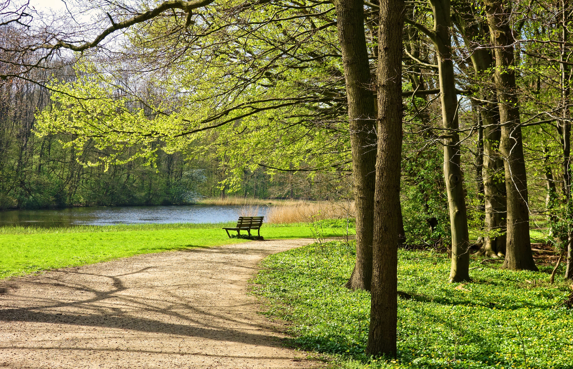 A park footpath with woods on one side and a small lake on the other side. Facing the lake is a wooden bench. 