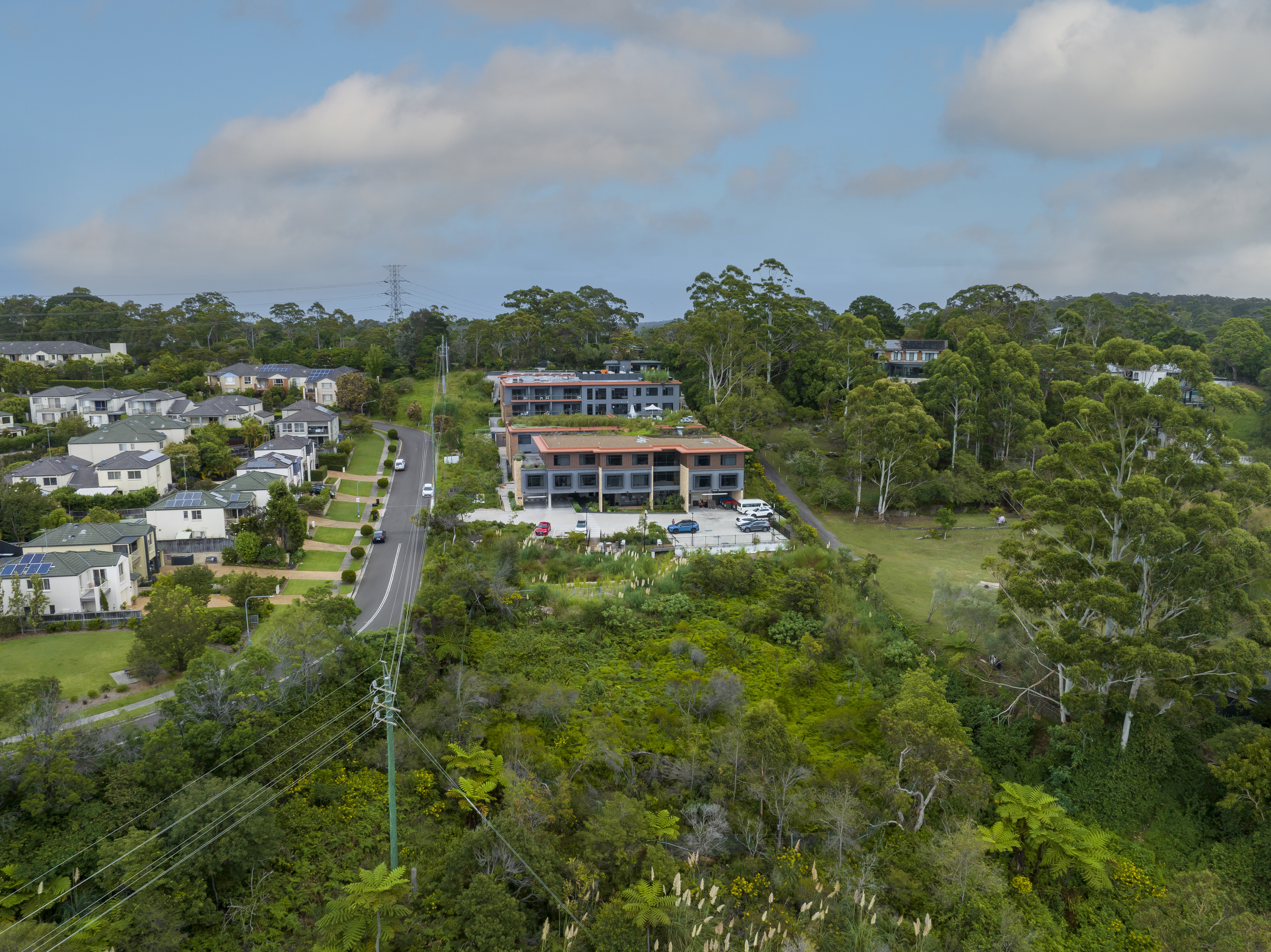 RAC-images-corymbia-10