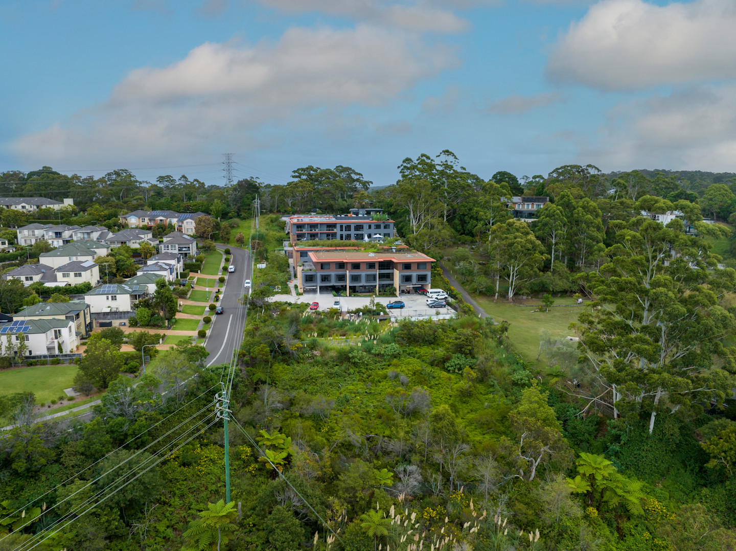 RAC-images-corymbia-10