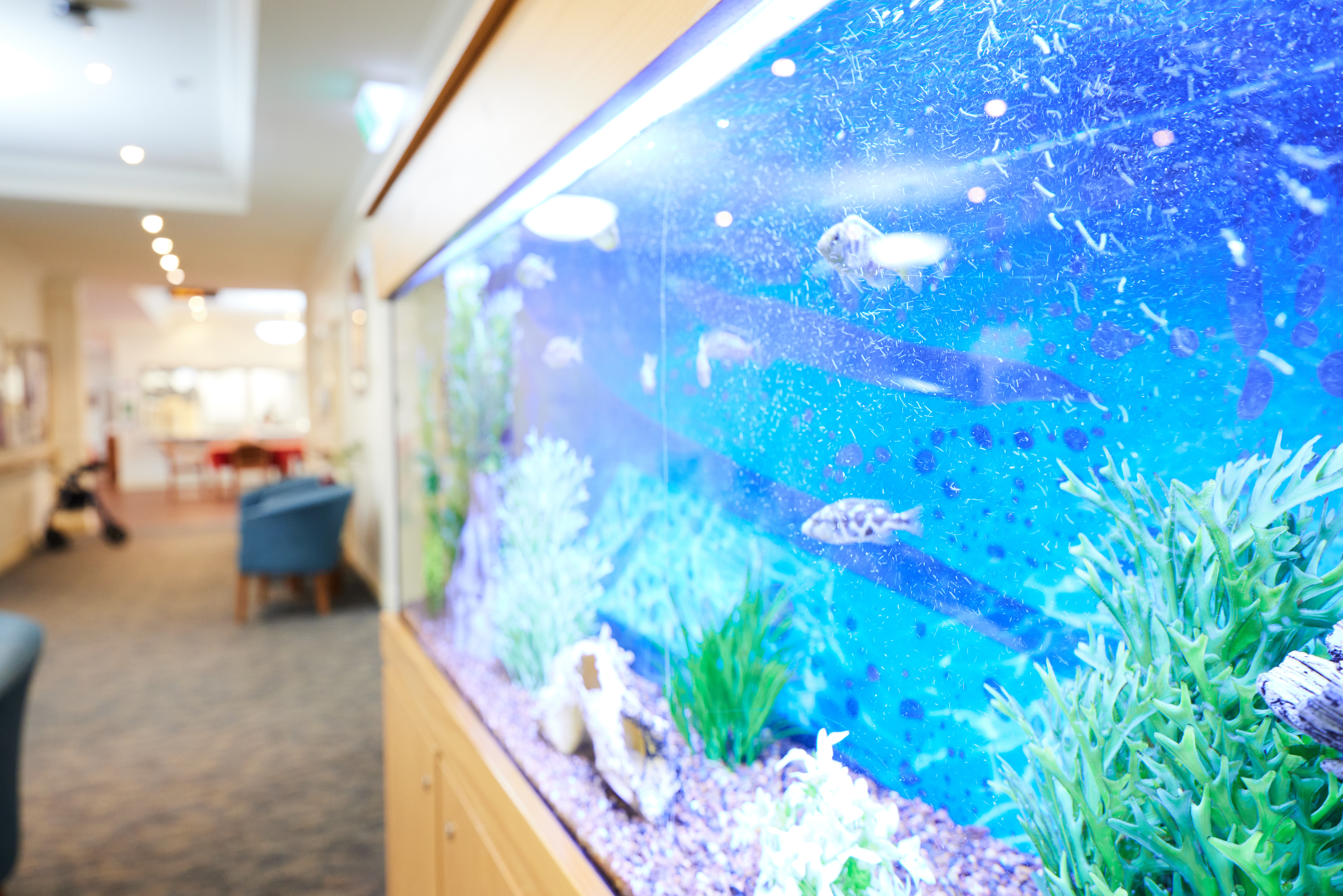 RAC-images-scottvale-02