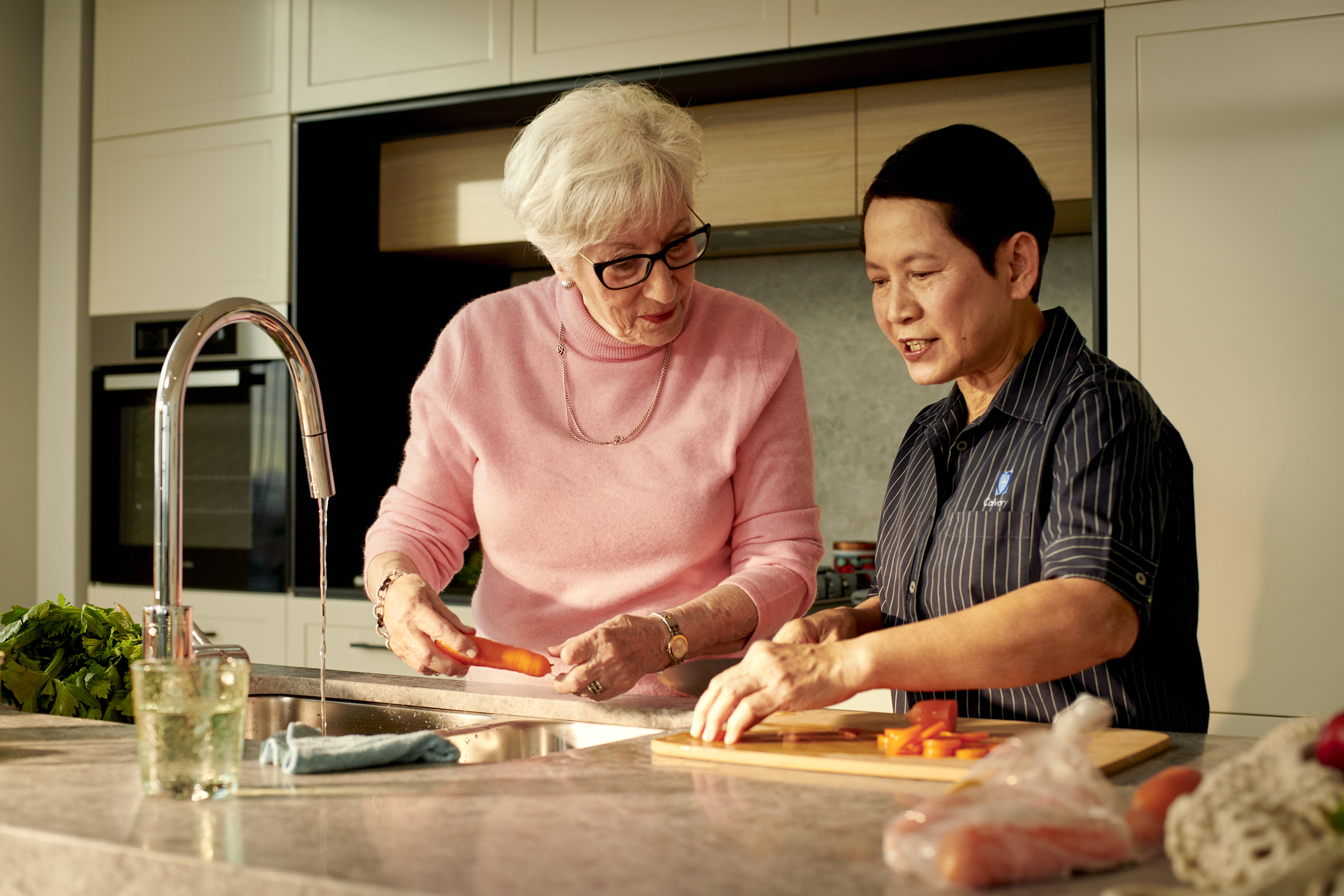 home care-opimage-domestic and lifestyle