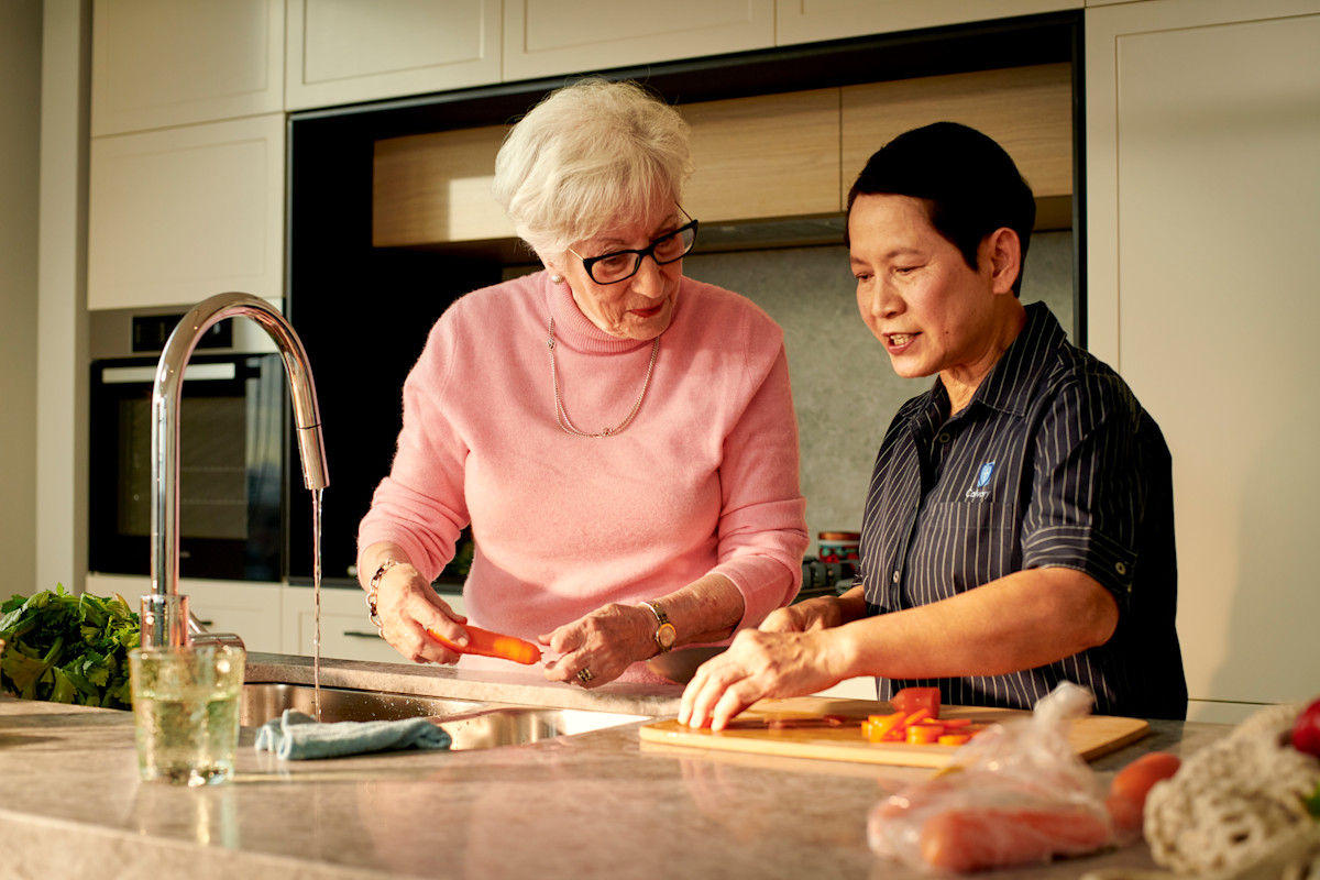 home care-opimage-domestic and lifestyle