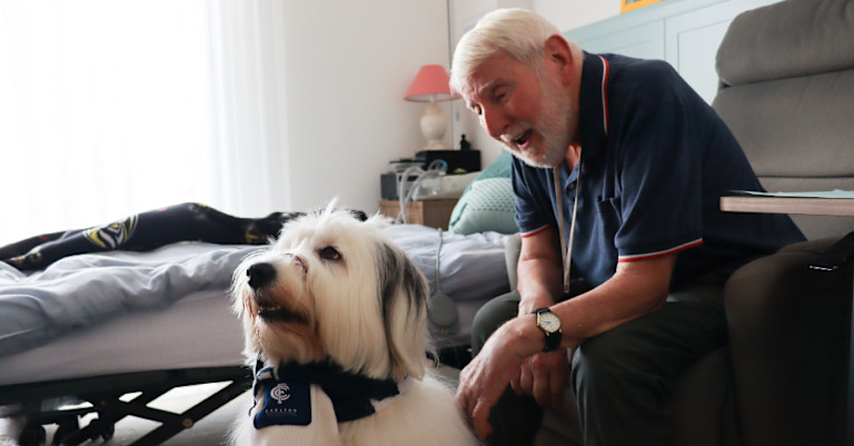 news-main image-volunteer-pet-therapy-at-calvary-kooyong